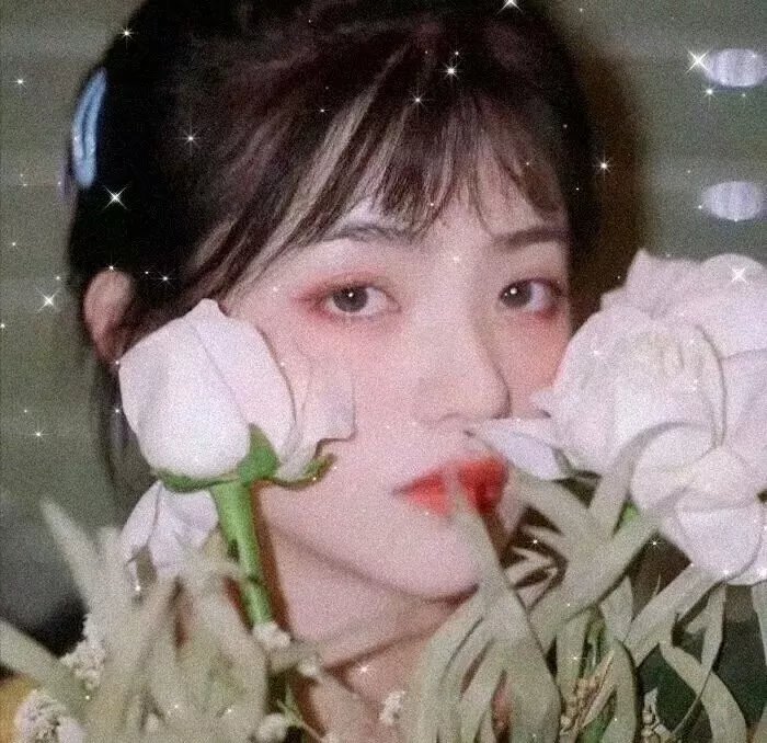 动画纪录